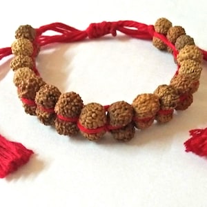 Natural Gauri Shankar Rudraksha Bracelet Indonesia Origin Beads