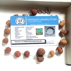 Puede incluir: Un brazalete Rudraksha marrón con una cadena plateada, presentado con un certificado del Gemological Laboratory of India. El certificado detalla el peso, la forma y el origen del brazalete. El brazalete está hecho de materiales naturales.