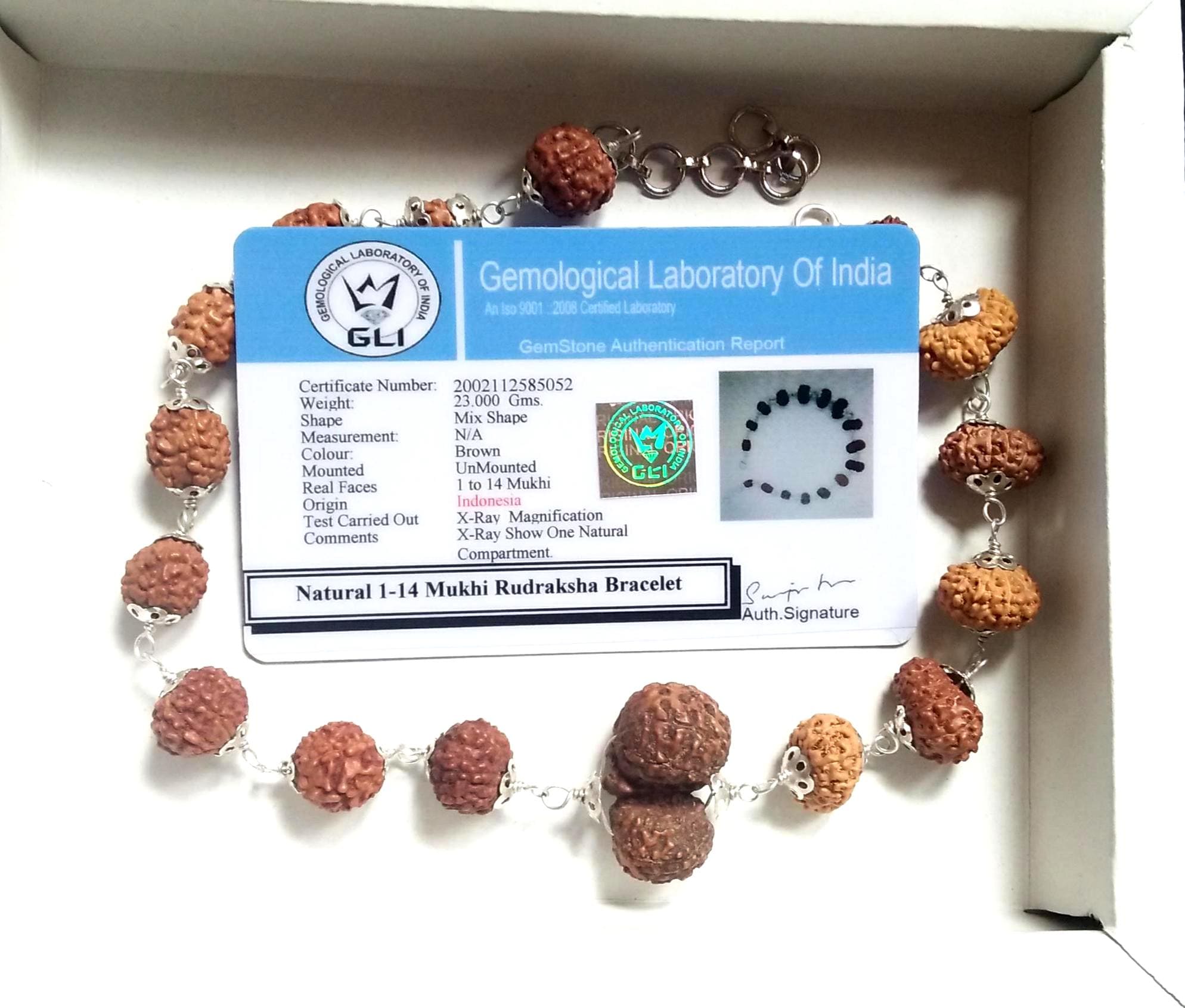 1～14面ルドラクシャ・シッダブレスレット：純銀、ジャワ産、ラボ認定