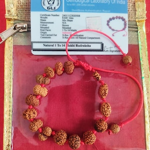Siddha Rudraksha Bracelet 1 To 14 Mukhi Rudraksh Java Origin Lab Certified