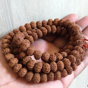 11 Mukhi Rudraksh Mala Elf Gesicht Rudraksha Mala 109 Perlen, zertifiziert von einem Labor