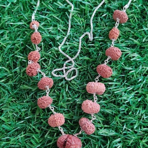 Può includere: Una collana con catena d'argento e perline marroni. Le perline sono fatte di semi di rudraksha, che si ritiene abbiano un significato spirituale nell'induismo. La collana è su uno sfondo di erba artificiale verde.