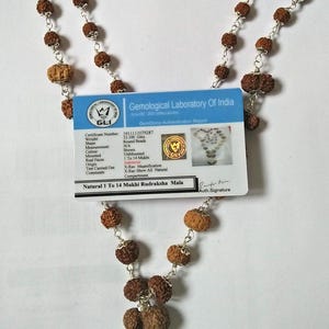 Puede incluir: Un collar Mala Rudraksha marrón con una cadena y detalles plateados. El collar presenta múltiples cuentas redondas y un colgante. Se incluye un certificado del Gemological Laboratory of India, que detalla el peso en 33,100 gramos.