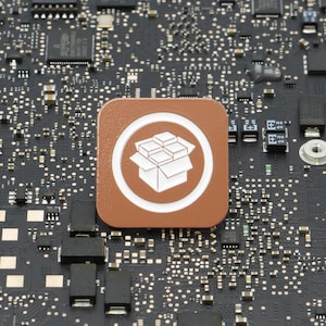 Cydia Pin