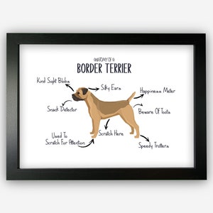 Anatomy of a Border Terrier Funny Gift For Him Or Her Word Art Wall Friends Prints ST089