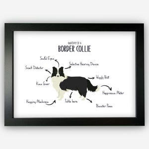 Anatomy of a Border Collie Funny Gift For Him Or Her Word Art Wall Friends Prints ST054