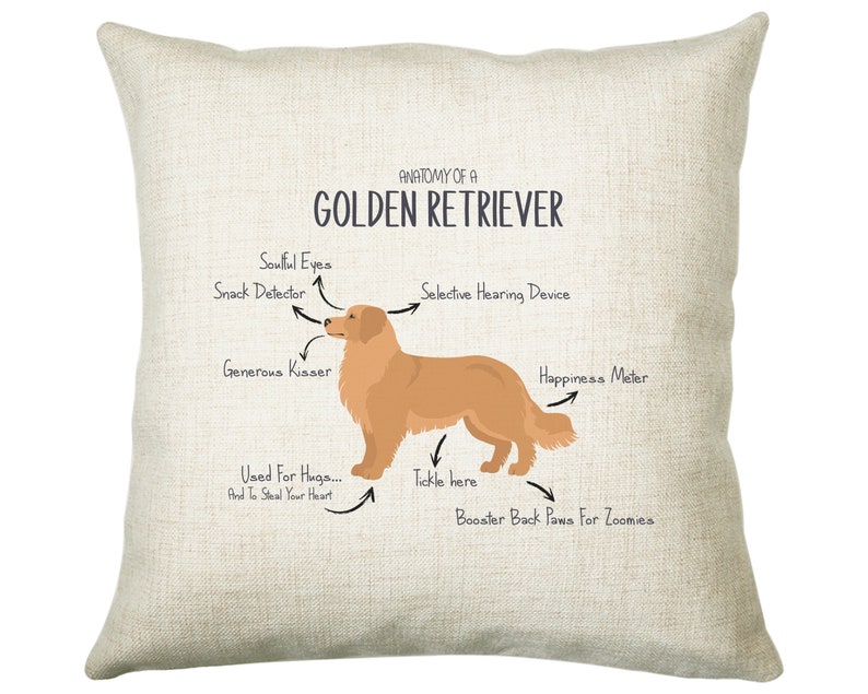 Best Golden Retriever Gifts