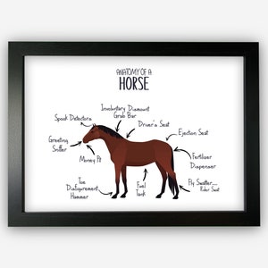 Anatomy of a Horse Pony Funny Gift For Him Or Her Word Art Wall Friends Prints ST065