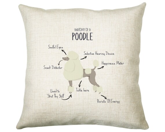 poodle cushion