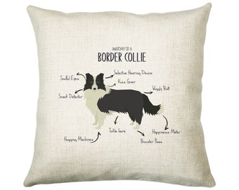 Anatomy of a Border Collie Funny Gift For Him Or Her Cushion Pillow Bedroom Decor CS378