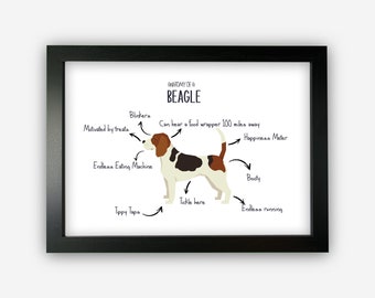 Anatomy of a Beagle Funny Gift For Him Or Her Word Art Wall Friends Prints ST051