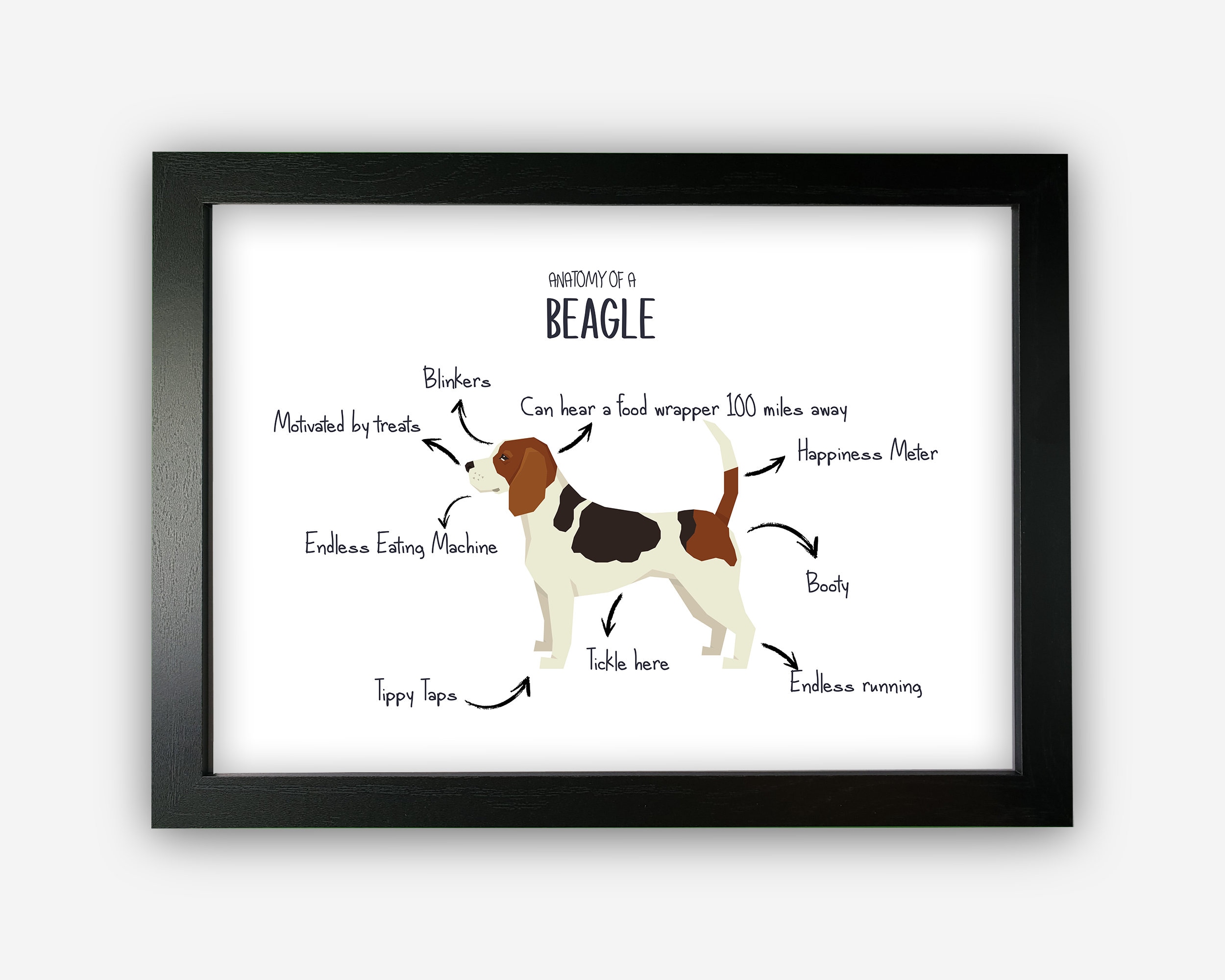 Anatomy of a Beagle Funny Gift for Him or Her Word Art Wall