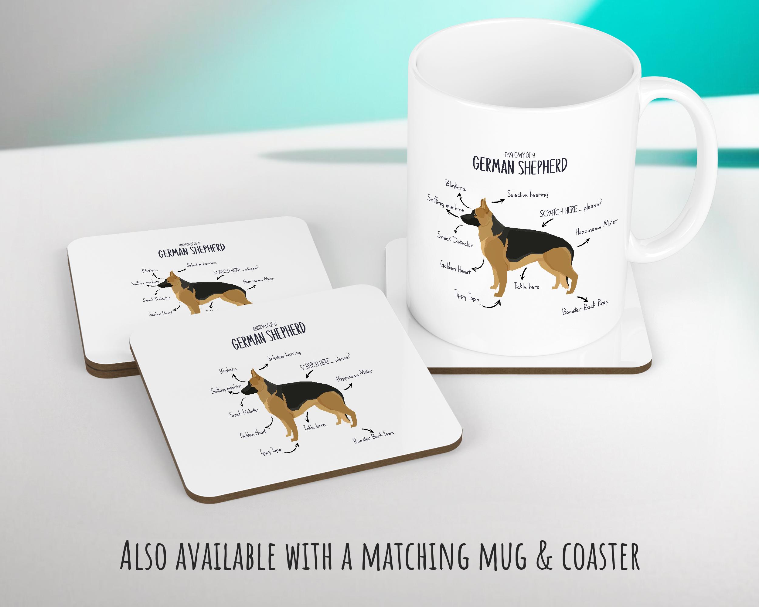 Federa per cuscino con scritta Funky Dog Lover, decorazione moderna e