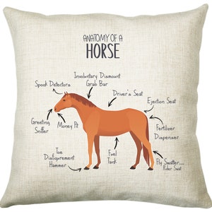 Anatomy of a Horse Pony Funny Gift For Him Or Her Cushion Pillow Bedroom Decor CS456