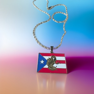 Puerto Rico boricua coqui flag necklace