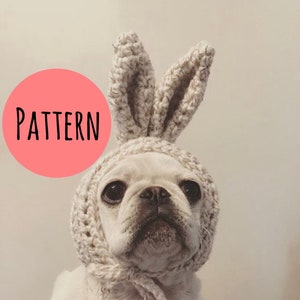 May include: A white dog wearing a crocheted bunny hat with long ears. The hat is light beige and tied under the chin. A pink circle with the word "PATTERN" in black is in the upper left corner.