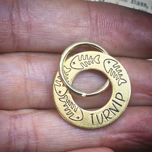Small brass Pet ID tag. Fish bone Cat, kitten pet tag. Hand stamped washer. Spinner name & number tag. Indoor cat