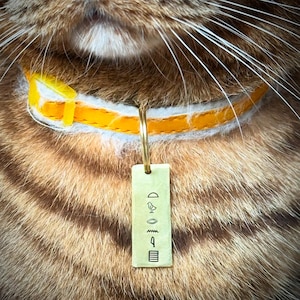 Etiqueta de identificação de animal de estimação pequena em latão com hieróglifos egípcios. Nome personalizado número gato gatinho cachorro cachorrinho. Cartela dourada estampada à mão