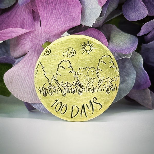 PERSONALISED Sobriety Recovery token chip gift One Day At A Time Custom hand stamped Sober alcohol free AA 30 days 365 days