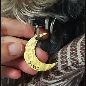 May include: A gold-colored, crescent moon-shaped pet tag with the name "Betty" engraved on it. The tag has a hammered texture and is attached to a dog's collar. The dog's fur is a mix of gray and black.