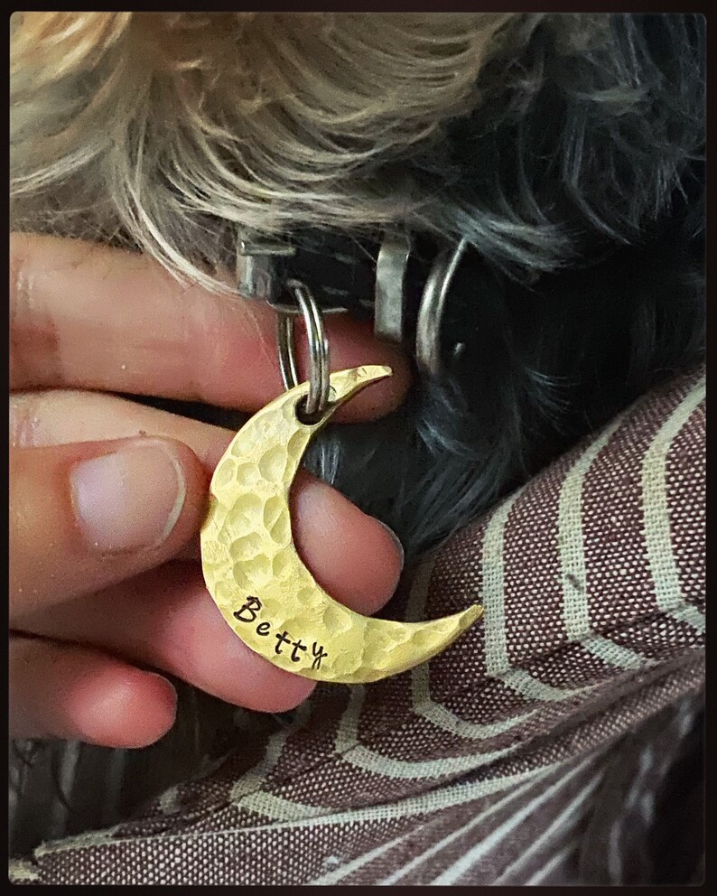 May include: A gold-colored, crescent moon-shaped pet tag with the name "Betty" engraved on it. The tag has a hammered texture and is attached to a dog's collar. The dog's fur is a mix of gray and black.
