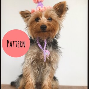 Mini Birthday Party Hund, Katze HÄKELMUSTER . Lustiger Hut, für Ihren Welpen, Katze, Haustier