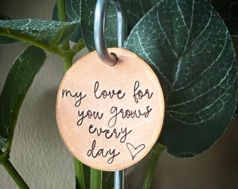 My Love For You Grows Every Day. Unique hand stamped plant marker Anniversary plant flower garden ornament keepsake Planter Yard art