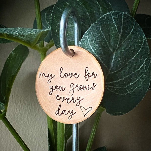 My Love For You Grows Every Day. Unique hand stamped plant marker Anniversary plant flower garden ornament keepsake Planter Yard art