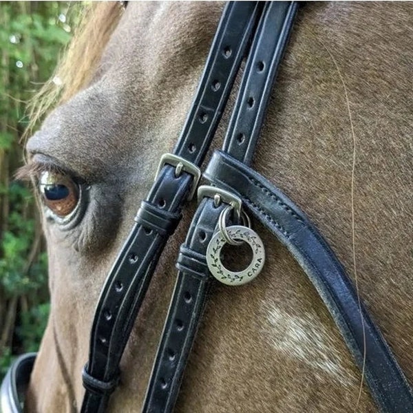 Double sided Horse Pony ID Bridle tag. Personalised name and phone number tag. Hand stamped washer. Brass or silver