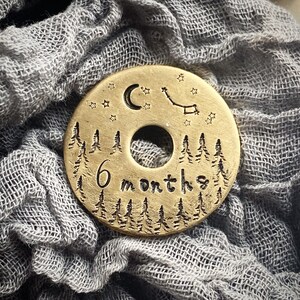 Puede incluir: Un disco redondo de color lat&oacute;n con un agujero central. El disco est&aacute; grabado con una escena de bosque, estrellas, una luna creciente y la constelaci&oacute;n de la Osa Mayor. El texto "6 months" tambi&eacute;n est&aacute; grabado.