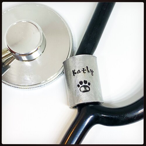 Stethoscope ID Tag Doctor Stethoscope Name Tag Stethoscope - Etsy