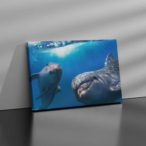 Dolphin Canvas Wall Art: Ocean Marine Print, Ready to Hang