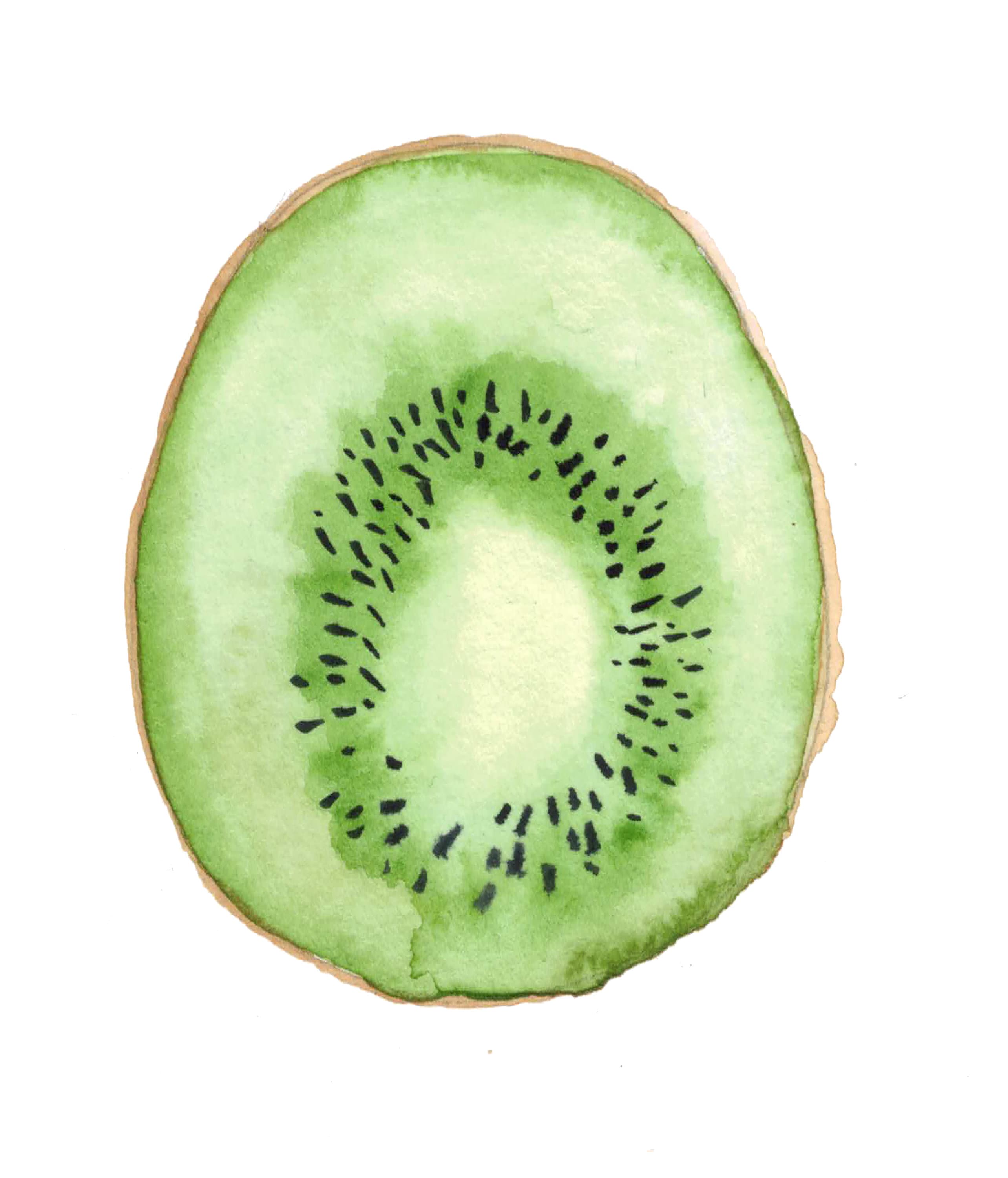 Kiwi Print Kiwi Fruit Kitchen Decor Tropical Print Etsy Hong Kong