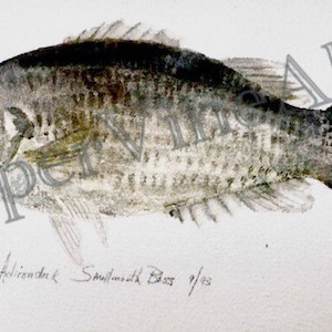 Fish Watercolor Print