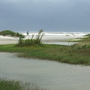 Sea Grass Bundles image 8