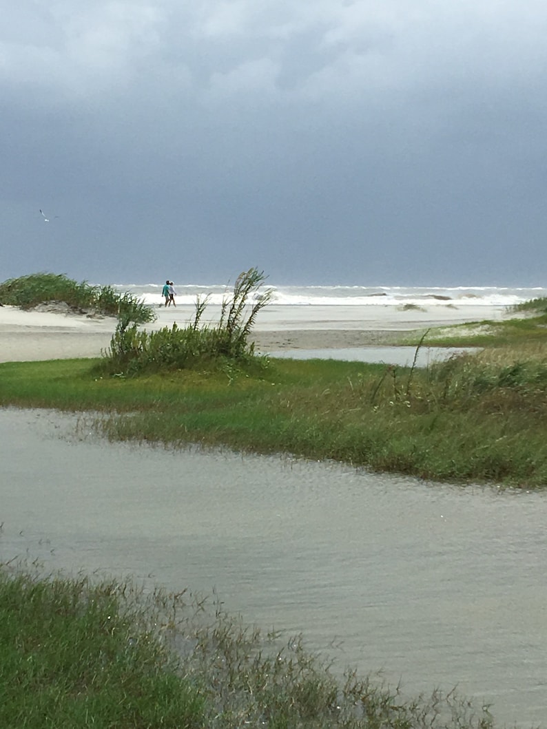 Sea Grass Bundles image 8