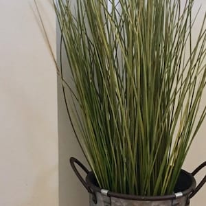 Sea Grass Bundles image 9