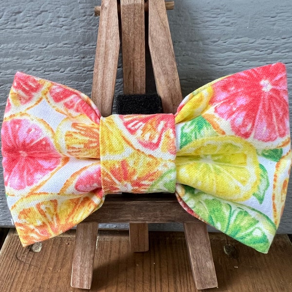 Summer Citrus Dog Bow Tie, summer pet bow ties, bow ties, pet bow ties, novelty bow ties