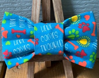 Here comes trouble Dog Bow Tie, novelty dog bow ties, cute dog bow ties, pet bow ties, cool dog bow tie, Baylors bow ties