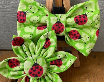 Lime Green Lady bug Dog Bow Tie OR Collar Flower, summer pet bow ties, bow ties, pet bow ties, novelty bow ties, Baylors bow ties