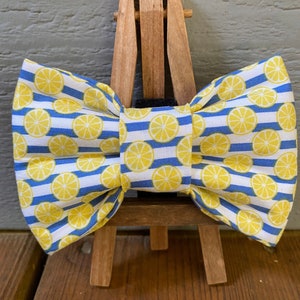 Blue Striped Lemon Pet Bow Tie, summer pet bow ties, bow ties, pet bow ties, novelty bow ties, Baylors bow ties