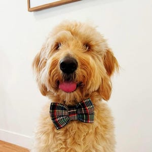 Christmas Tree Dog Sailor Bow: Holiday Pet Accessory Handmade to order image 6