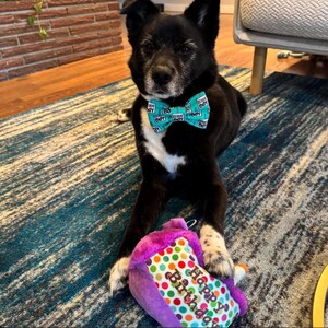 Adopted & Adored Dog Bow Tie - Baylor's Bow Ties Handmade to order image 6