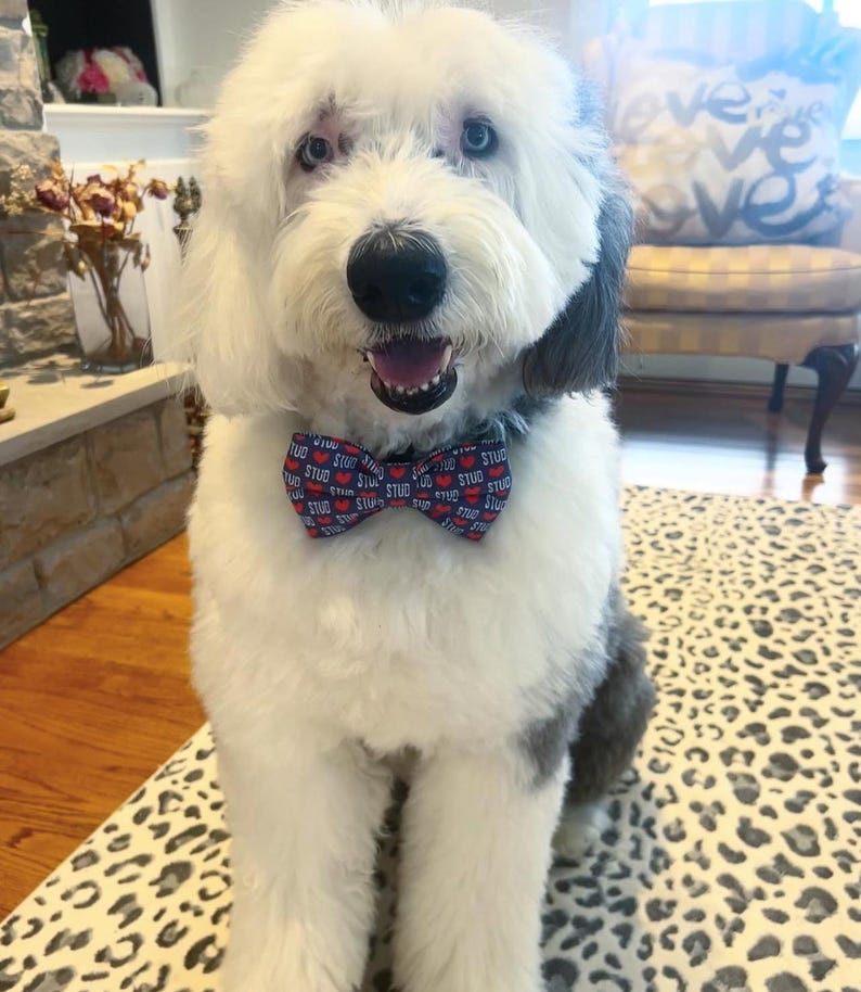 Christmas Tree Dog Sailor Bow: Holiday Pet Accessory Handmade to order image 9