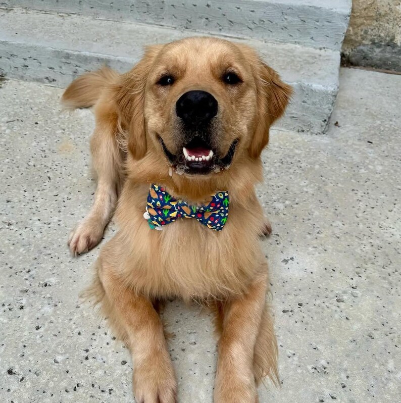 Adopted & Adored Dog Bow Tie - Baylor's Bow Ties Handmade to order image 9