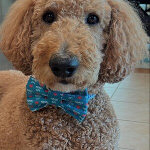 Adopted & Adored Dog Bow Tie - Baylor's Bow Ties Handmade to order image 7