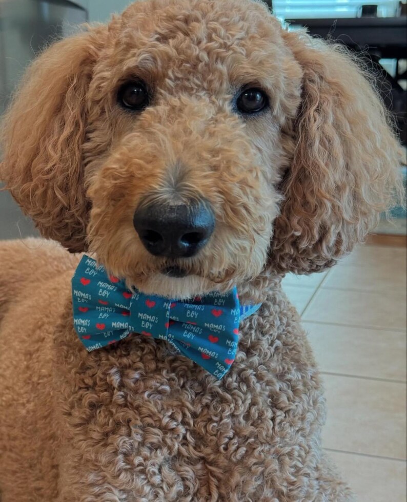 Adopted & Adored Dog Bow Tie - Baylor's Bow Ties Handmade to order image 7