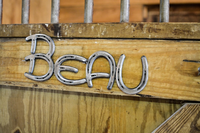 Custom Welded Metal Horse Name Stall Plate Sign Get Your Etsy