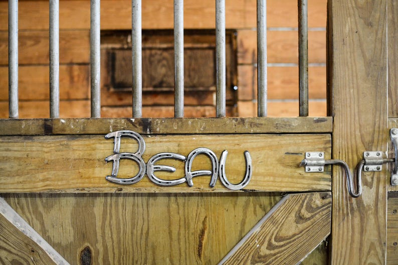 Custom Welded Metal Horse Name Stall Plate Sign Get Your Etsy