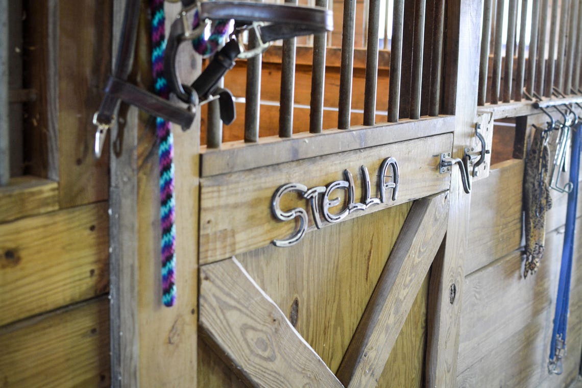 Custom Welded Metal Horse Stall Card Plate Sign Get Your Etsy